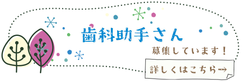 歯科助手さん